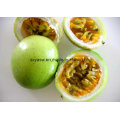 Passiflora Incarnata Extract Flavones Passion Flower Extract